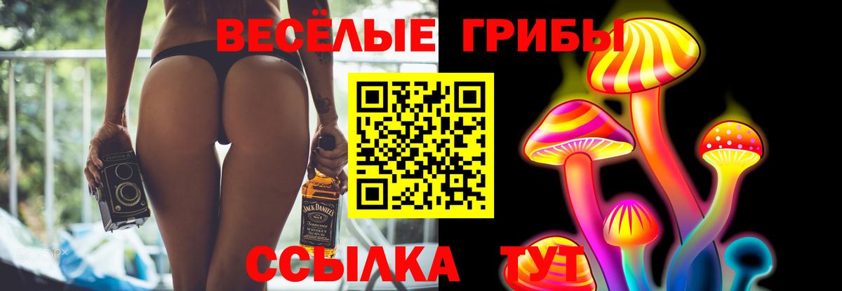 Скопин  Галлюциногенные грибы MAGIC MUSHROOMS  Галлюциногенные грибы Psilocybe  Вход с VPN 
